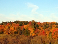 13248CrLeSh - Autumn colours in Rouge Valley Conservation Area.JPG